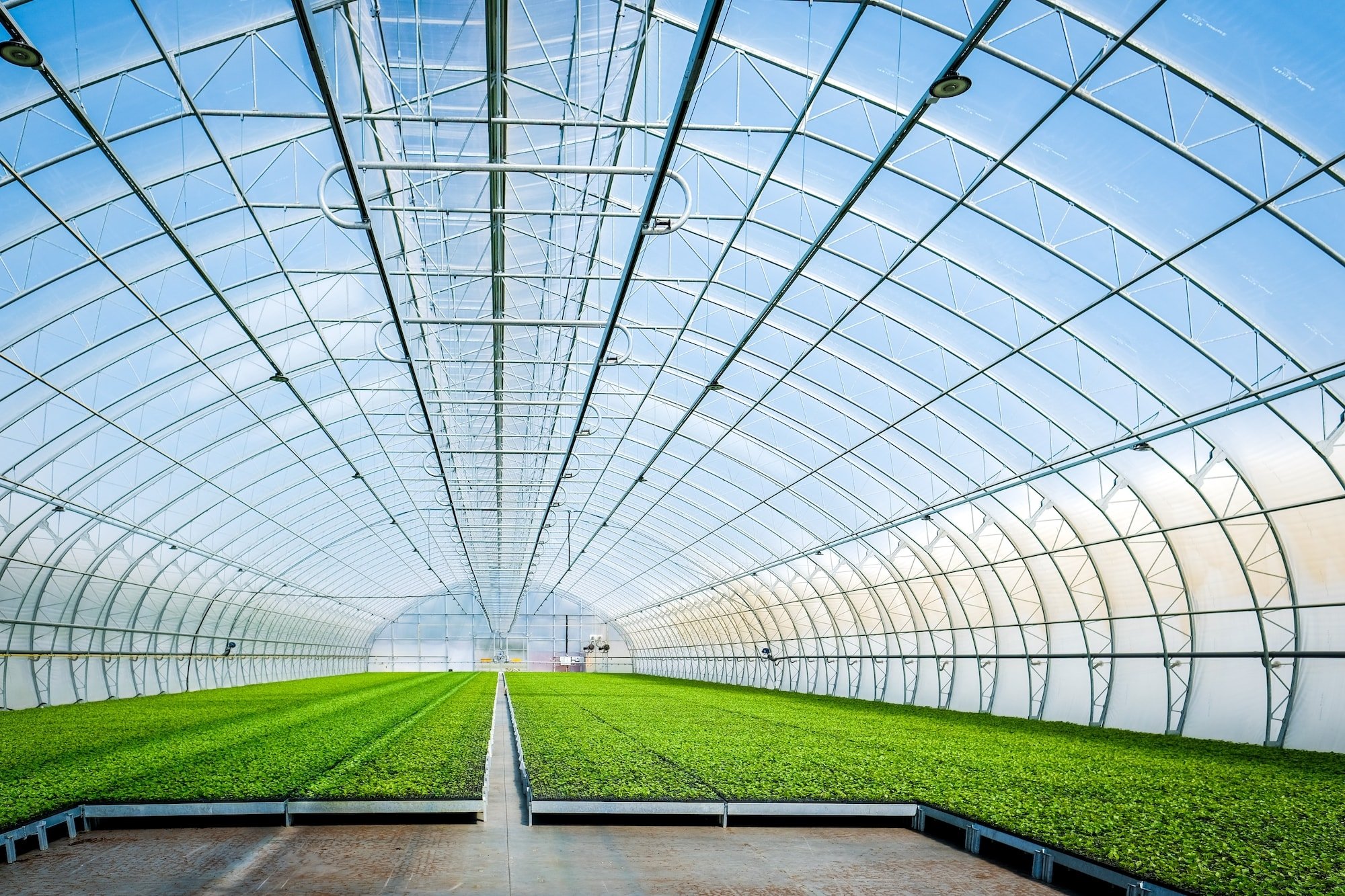 Agriculture